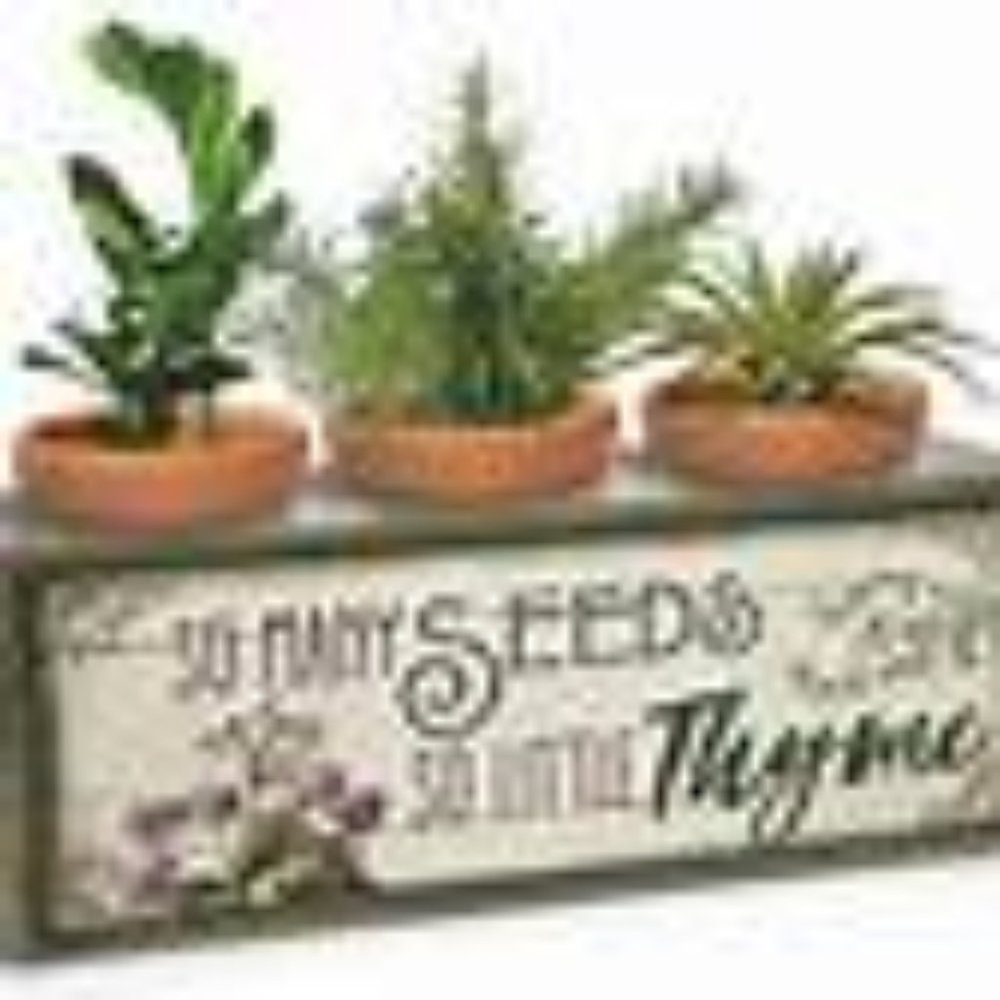 IN THE GARDEN: 3 POT SO MANY SEEDS SEEDLING BLOX